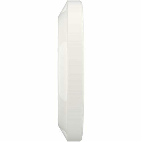 Simple Truth® 10.25-Inch Dinner Plates Perspective: left