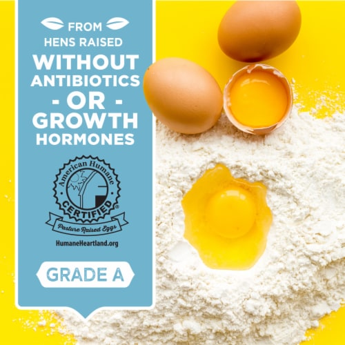 Simple Truth™ Pasture Raised Large Brown Eggs Perspective: left