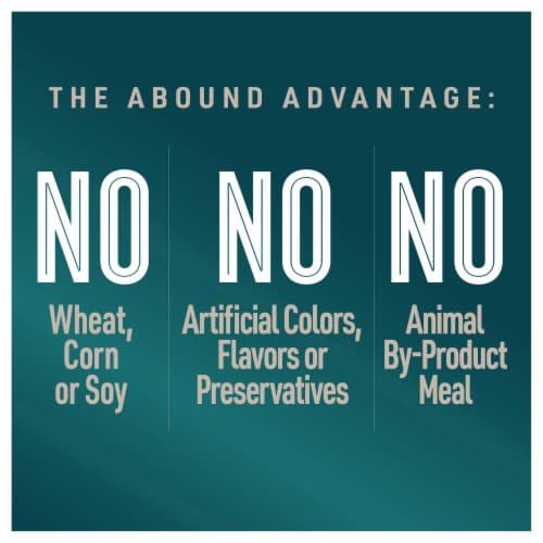 Abound™ Grain Free Beef & Vegetable Cuts in Gravy Wet Dog Food Perspective: left