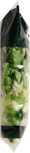 Fresh Selections Greener Supreme Salad Perspective: left