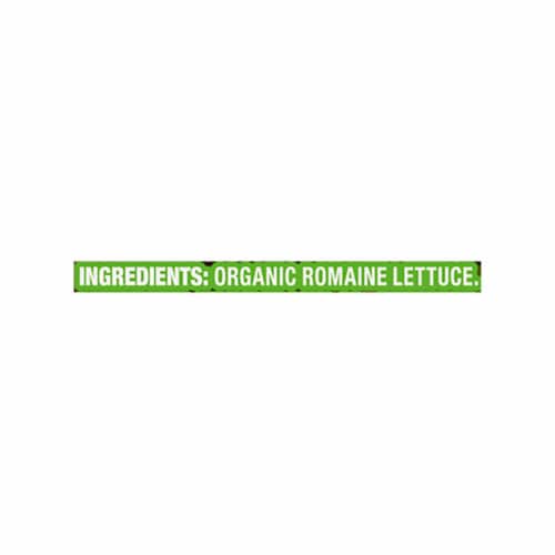 Simple Truth Organic® Baby Romaine Lettuce Perspective: left