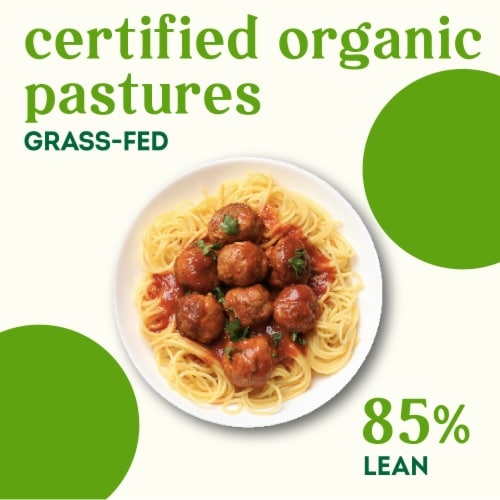 Simple Truth Organic® Grass Fed Ground Beef 85/15 BIG DEAL! Perspective: left