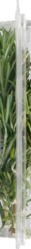 Simply Roundy's Organic Rosemary Perspective: left