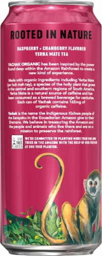 Yachak Berry Red Yerba Mate Energy Drink Perspective: left
