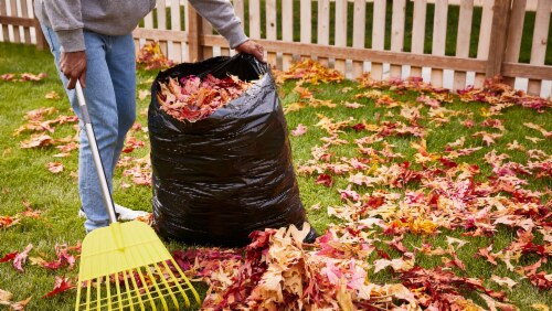 Hefty Strong Lawn & Leaf Trash Bags, 39 Gallon, 40 Count