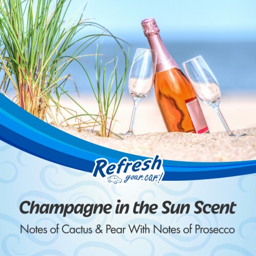 Refresh Your Car!® Diffuser Air Freshener Champagne In The Sun Scent Perspective: left