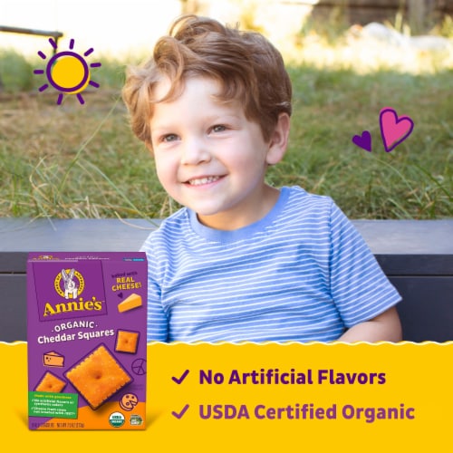 Annie's Organic Cheddar Squares Baked Cracker Snacks Perspective: left
