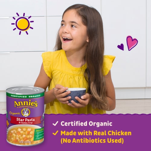Annie's Organic Star Pasta and Chicken Soup Perspective: left