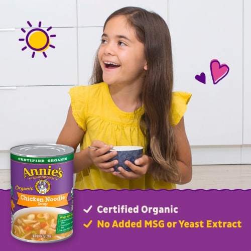 Annie's™ Organic Chicken Noodle Canned Soup Perspective: left