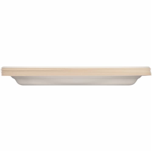 Hefty EcoSave™ 100% Compostable Large Oval Platters Perspective: left