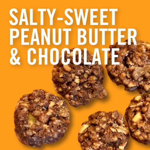 Dave's Killer Bread® Peanut Butter Choco Bliss Crunchy Organic Snack Bites Perspective: left