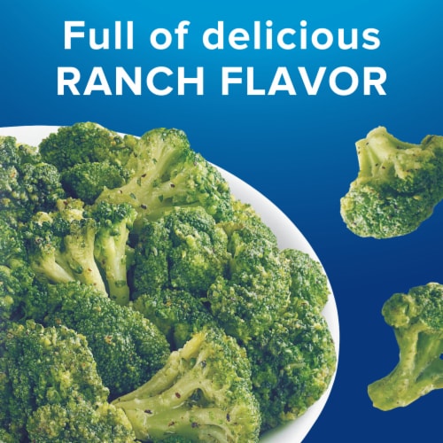 Birds Eye Steamfresh Ranch Broccoli Florets Frozen Vegetables Perspective: left