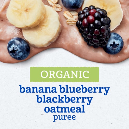 Gerber Organic 2nd Foods Banana Blueberry Blackberry Oatmeal Perspective: left