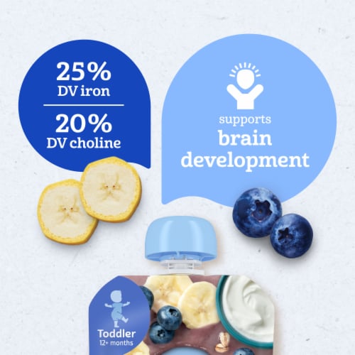 Gerber Toddler Food Banana Blueberry Fruit Puree Yogurt & Whole Grains Pouches Perspective: left