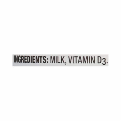 Meadow Gold Vitamin D Whole Milk Perspective: left