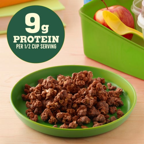 Nature Valley Dipped Double Chocolate Granola Perspective: left