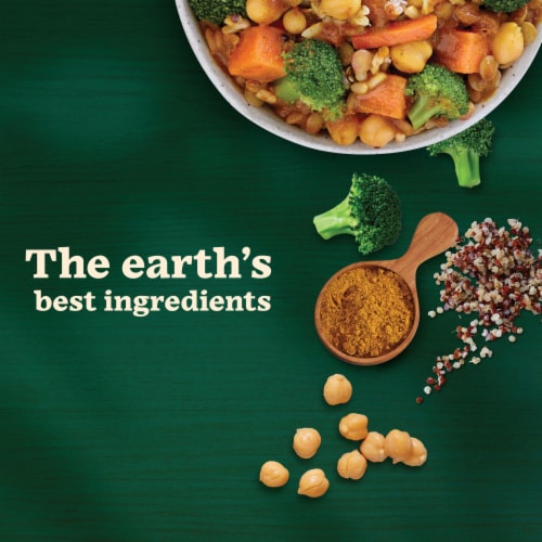 Sweet Earth Vegan Curry Tiger Vegan Frozen Dinner For One Perspective: left
