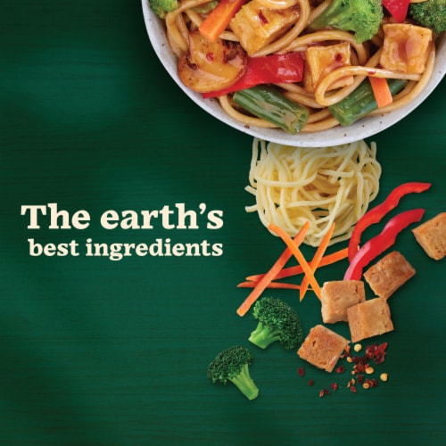 Sweet Earth Vegan Veggie Lo Mein Frozen Meal Perspective: left