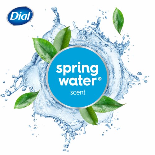 Dial Spring Water Antibacterial Liquid Hand Soap With Moisturizer Refill Perspective: left