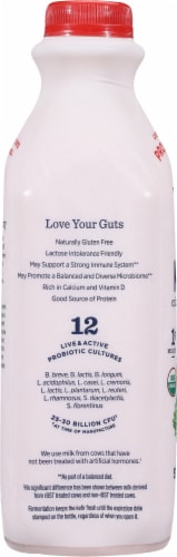 Lifeway® Strawberries N Cream Organic Probiotic Whole Milk Kefir Drink Perspective: left
