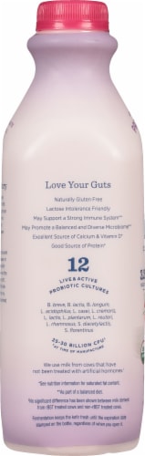 Lifeway Wildberries Organic Probiotic Whole Milk Kefir Drink Perspective: left