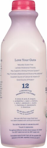 Lifeway Wildberries Organic Probiotic Whole Milk Kefir Drink Perspective: left