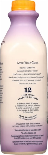 Lifeway® Organic Peach Kefir Cultured Whole Milk Perspective: left