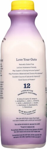 Lifeway® Organic Kefir Strawberry Banana Whole Milk Perspective: left