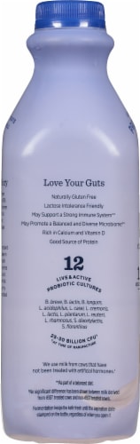 Lifeway® Blueberry Probiotic Low Fat Kefir Drink Perspective: left