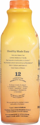 Lifeway® Limited Edition Pumpkin Spice Lowfat Kefir Perspective: left