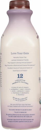 Lifeway® Coconut Honey Probiotic Whole Milk Kefir Drink Perspective: left