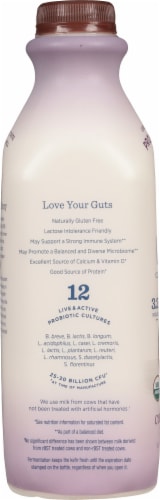 Lifeway® Organic Coconut Honey Kefir Cultured Whole Milk Perspective: left
