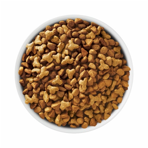 Purina ONE +Plus Adult Natural Hairball Control Dry Cat Food Real Chicken Perspective: left