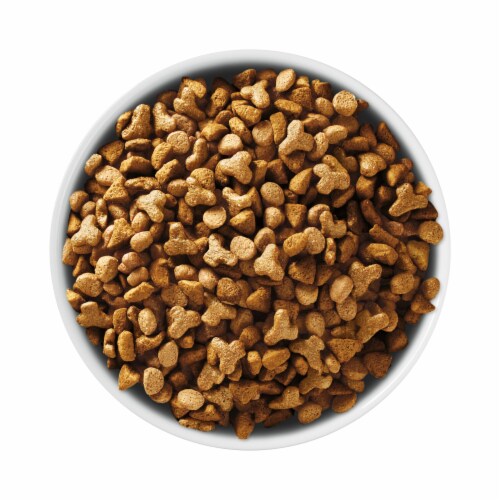 Purina ONE +Plus Senior Indoor Advantage Dry Cat Food Perspective: left