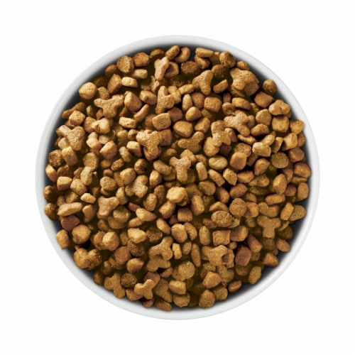 Purina One® Sensitive Skin & Stomach Formula Natural Dry Cat Food Perspective: left