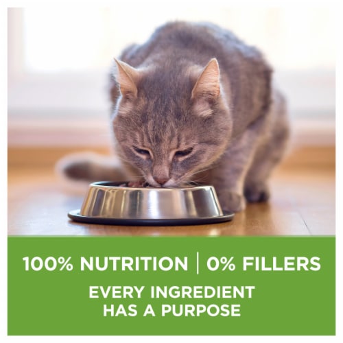 Purina ONE +Plus Indoor Advantage Weight Control Adult Dry Cat Food Real Turkey Perspective: left