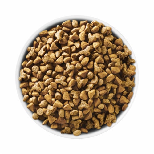 Purina ONE® Indoor Advantage Hairball & Weight Control Natural Dry Cat Food Perspective: left