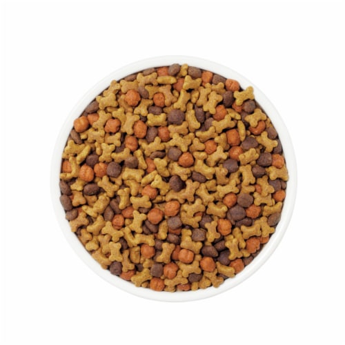 Purina Dog Chow Little Bites for Small Breed Dog Food Dry Recipe With Real Chicken and Beef Perspective: left