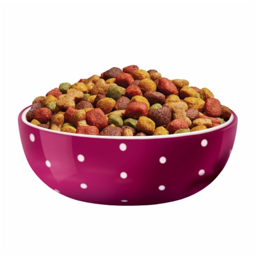 Purina beneful puppy chow online