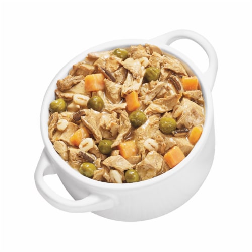 Purina Beneful High Protein, Wet Dog Food With Gravy, Prepared Meals Roasted Turkey Medley Perspective: left