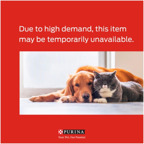 Purina® Dog Chow® Little Bites Real Chicken & Beef for Small Dog Dry Dog Food Perspective: left