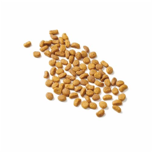 Purina Cat Chow Naturals Original Dry Cat Food Real Chicken & Salmon Perspective: left