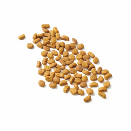 Cat Chow Naturals Original Chicken & Salmon Dry Cat Food Perspective: left