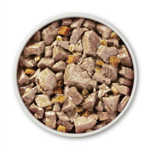 Purina ONE® Natural SmartBlend Tender Cuts in Gravy Beef & Barley High Protein Wet Dog Food Perspective: left