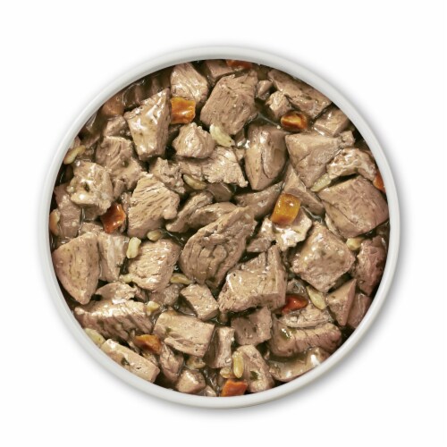Purina ONE SmartBlend Tender Cuts Chicken & Brown Rice Entree in Gravy Adult Wet Dog Food Perspective: left