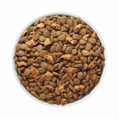 Purina ONE Tender Selects Blend with Real Chicken Natural Dry Cat Food Perspective: left