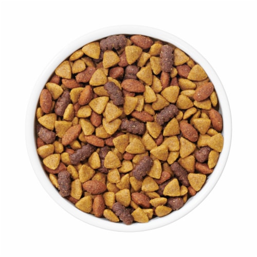 Dog Chow® Complete Adult with Real Chicken Dry Dog Food Perspective: left