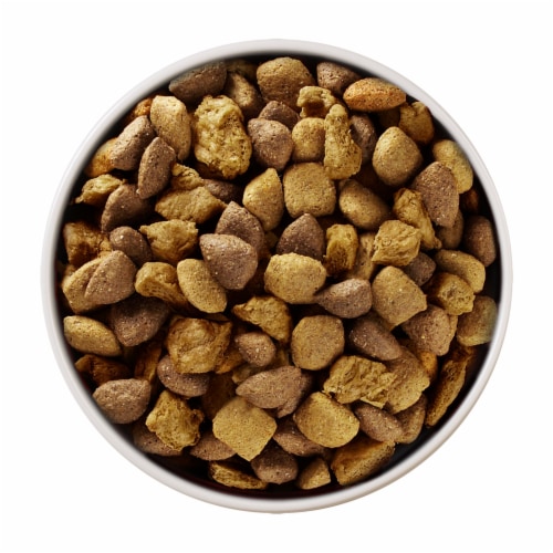 Purina ONE® SmartBlend® Joint Health Large Breed Adult Formula Natural Dry Dog Food Perspective: left