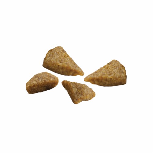 Purina ONE SmartBlend Sensitive Systems Formula Natural Dry Adult Dog Food Perspective: left
