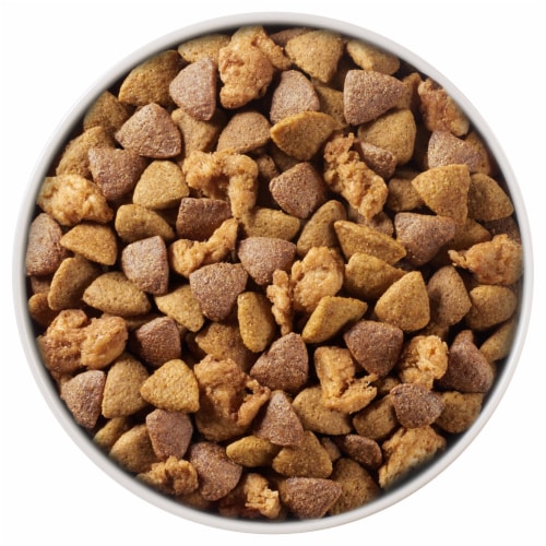 Purina ONE® SmartBlend® Chicken & Rice Formula Natural Dry Adult Dog Food Perspective: left